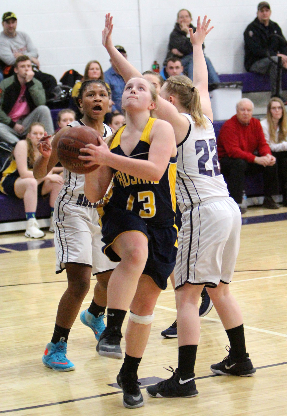 New Auburn at Lake Holcombe girls basketball 2-13-18